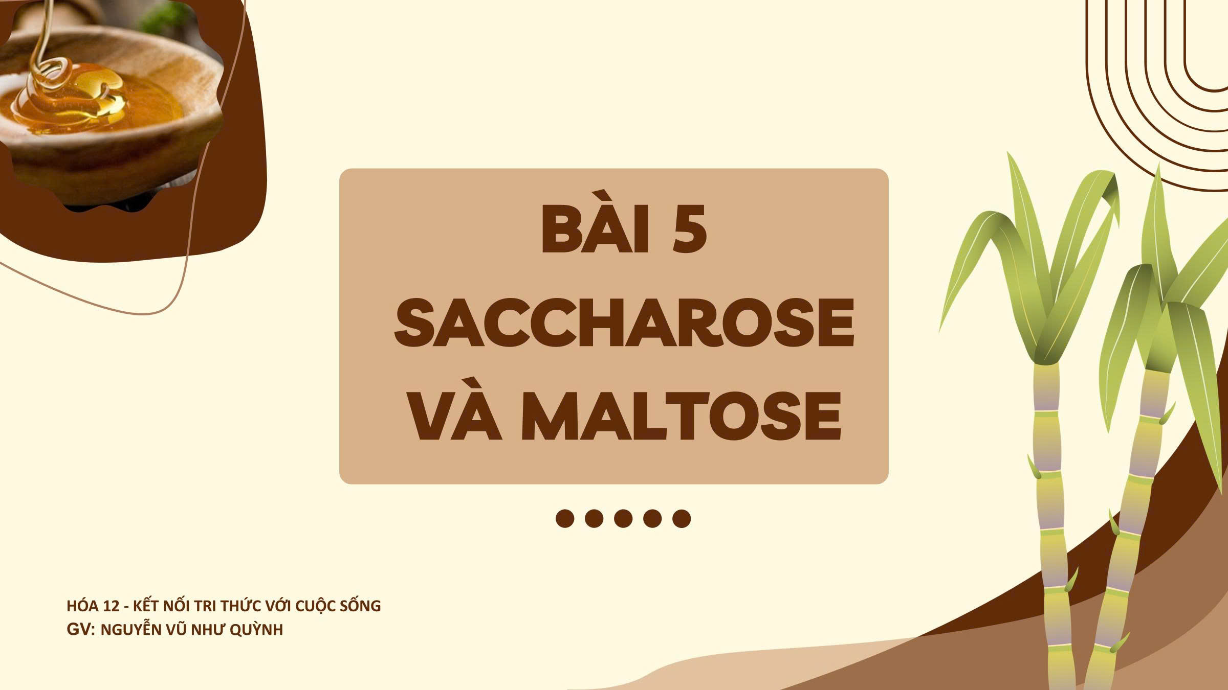 Bài 5. Saccharose và maltose - Hóa 12 - KNTT PPT